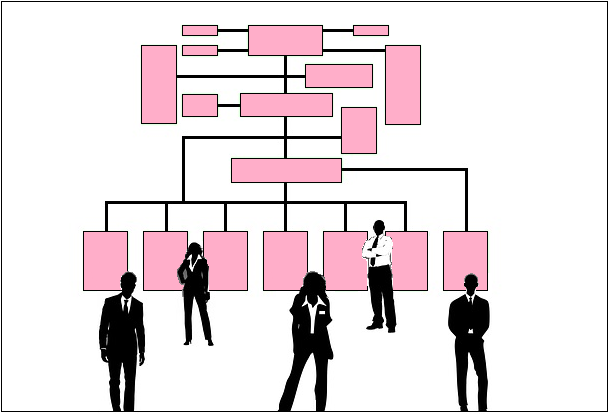 Organisatie